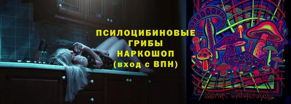 дмт Вяземский