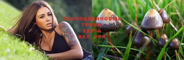 мяу мяу мука Вязники
