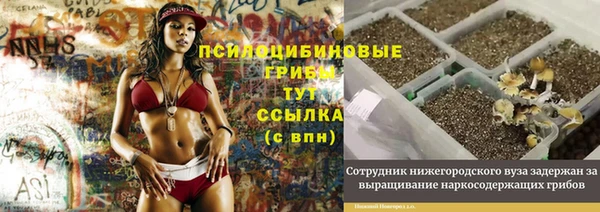 каннабис Волоколамск