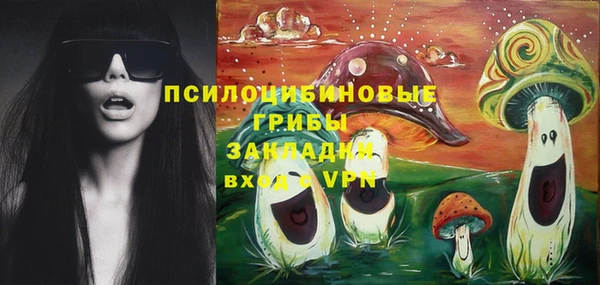 крисы Горняк