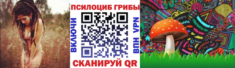 Галлюциногенные грибы GOLDEN TEACHER Железноводск